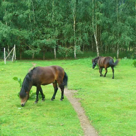 Wiejski Dom Feriegård *