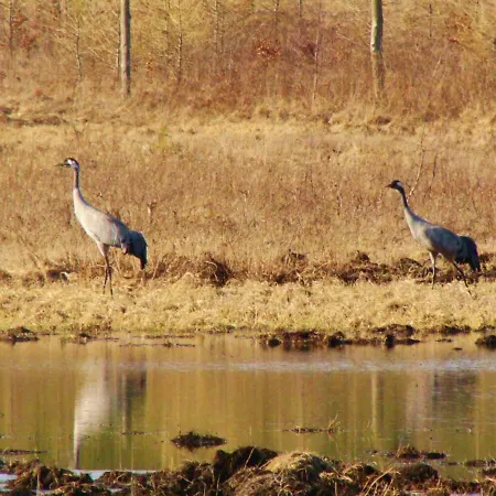Wiejski Dom Feriegård