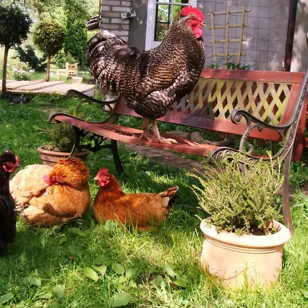 Feriegård Wiejski Dom Resko