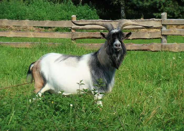 Wiejski Dom Agroturismo Resko