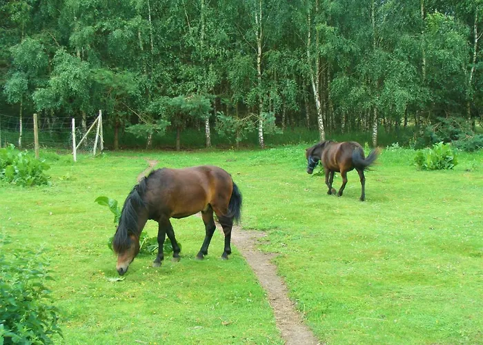 Wiejski Dom Agroturismo *
