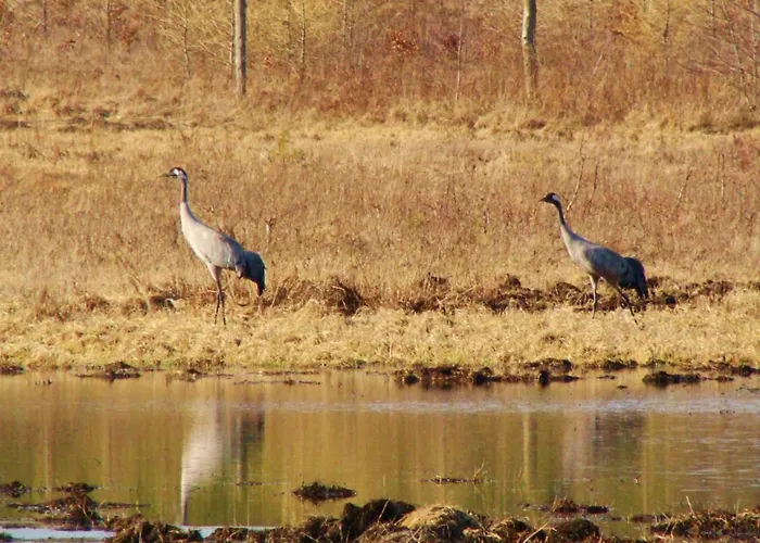 Wiejski Dom Agroturismo