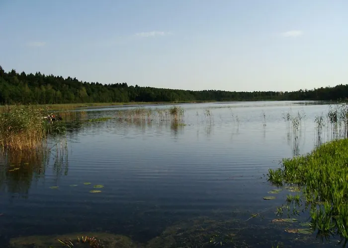 Agroturismo Wiejski Dom