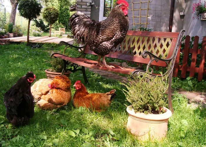 Agroturismo Wiejski Dom Resko